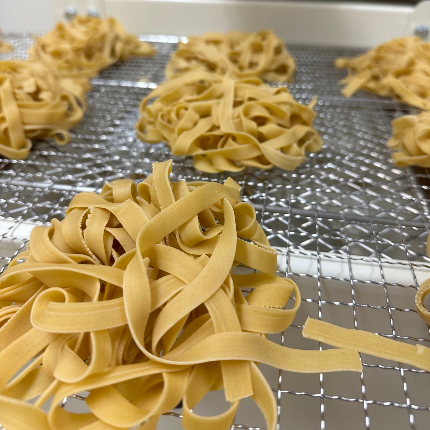 Fettuccine - Egg (Dried)
