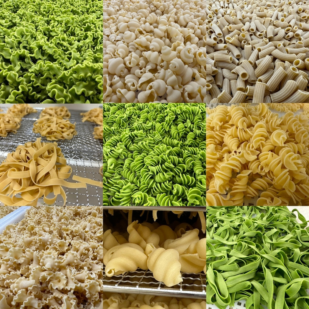 WH Pasta Miscuglio (Set of 6)