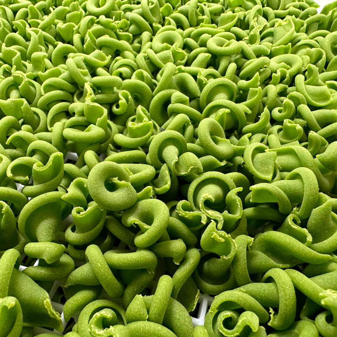 Trottole - Spinach Vegan (Dried)