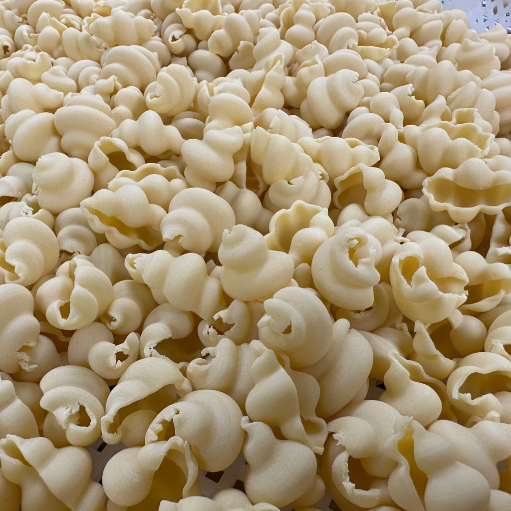 Conchiglie - Egg - Dried