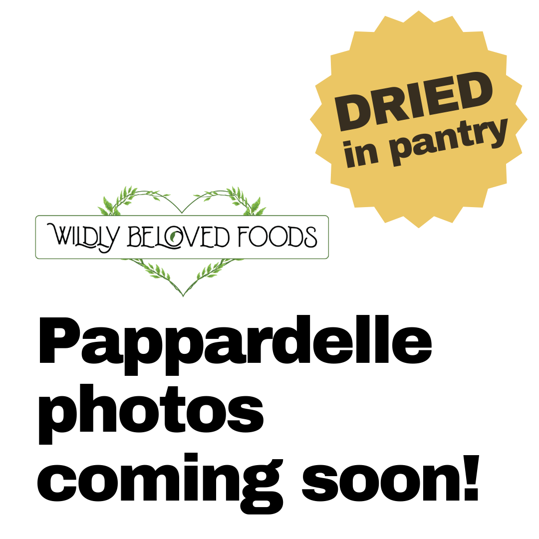 Pappardelle {Piccola} - Spinach Vegan (Dried)